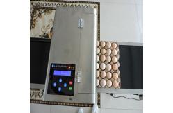 China Popular Eggs Number Inkjet Printer With High Resolution For Egg Supplier supplier
