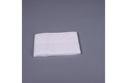 China Large Surface ESD Cleanroom Mops Microfiber Water Absorption Cotton Dust Mop supplier