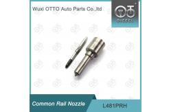 China L481PRH Delphi Common Rail Nozzle supplier