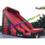Customized Two lane Inflatable Dry Slide With PVC for exhibition , celebration for sale