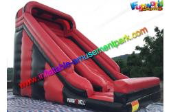 China Customized Two lane Inflatable Dry Slide With PVC for exhibition , celebration supplier