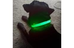 China USB Rechargeable Light Up Dog Collar , LED Flashing Dog Collar Night Visible Safe supplier
