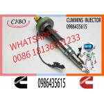 Engineering Machinery QSK19 Truck Engine System Accessories 0986435615 Diesel Fuel Injector