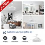 42 Inch Retractable Ceiling Fan Light With Reversible DC Motor