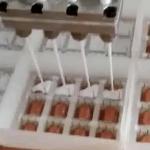 Electronic Potting Machine Silicone Rubber For IoT Devices EXW Report And Test Video for sale