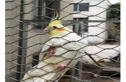 China Knotted Stainless Steel Aviary Mesh High Safety Good Fire Prevention Properties supplier