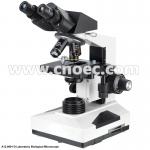 40x - 1600x Compound Optical Microscope For Laboratory , CE Rohs A12.0901 for sale
