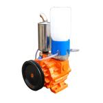 Double Stages Rotary Vane Type Vacuum Pump 220V 50Hz 1Phase High Vacuum for sale