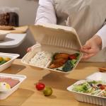 Biodegradable takeaway food packaging bento lunch boxes fast food takeaway sugarcane pulp lunch boxes for sale