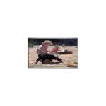 P280IVN01.1 28.0 inch LCD Screen 1920*360 Stretched Bar LCD for sale
