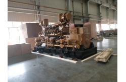 China 1MW Power Station Equipped with 12V190 Gas Generator and Customized Request Option supplier