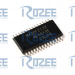 MSP430F2132IPW