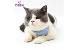 China Pets2Go Mesh Lining 100g Retractable Pet Leash supplier