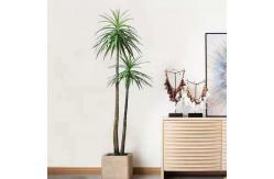 China Handmade 150cm Artificial Dracaena Frost Resistance Anti - Aging supplier