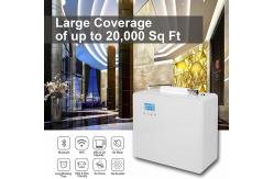 China HOMEFISH 800ml Big Essential Oil Diffuser For Office Desk Coverage 2500m3-4000m3 supplier