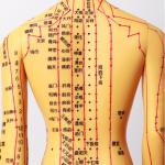 Approximately 5kg Acupuncture Body Model For Safety Efficiency for sale