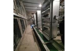 China 6mm Automatic Manure Removal System supplier