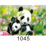 Custom 3D Lenticular Printing 60*80cm / Wall Poster 3D Animals Photos