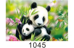 China Custom 3D Lenticular Printing 60*80cm / Wall Poster 3D Animals Photos supplier