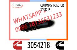 China Common Rail Injector 3047973 3071497 4914537 3054218 for Diesel Engine NT855 supplier