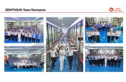 China Variable Power Resistor manufacturer