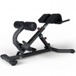 Adjustable Back Extension Roman Chair Home Gym Strength Training Machine for Abdominals and Back Exercise Pin Load Selection for sale