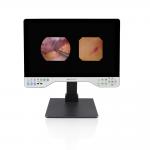 1080P Full HD Endoscope System Rigid and Flexible 24 Inches All in One Video Recorder Camera for sale