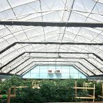 100% Shading System Automatic System Polycarbonate Single Span Light Dep Greenhouse With Rolling Blackout for sale