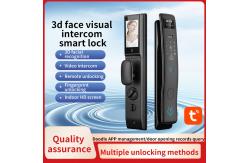 China 3D Face Smart Door Lock Fingerprint Video Calling Home Lock supplier