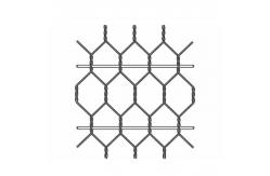 China Woven Sliver Protection Road Iron Galvanized Hexagonal Wire Mesh supplier