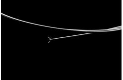 China Long Shelf Life Disposable Biopsy Forceps With Ultra Smooth Plastic Coating supplier