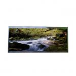 12.3 inch C123HAN01.1 TFT LCD panel Used for Automotive for sale