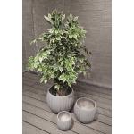 Round Fiber Cement Pot For Camping Burners And Warmer Charcoal Oven Barbecue