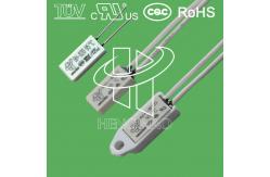 China Plastic Case Thermal Protector Fuse BH-B2D Fluorescent Lamp Ballasts Usage supplier