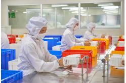 China Disposable Protective Coveralls manufacturer