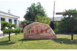 China Used Crawler Crane manufacturer