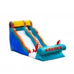 Customizable Inflatable Slide With Bright Colors Amusement Parks for sale