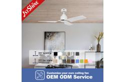 China White ABS Blades No Light DC Motor Ceiling Fan With Remote Control supplier