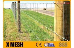 China Hinge Joint Galvanized Field Fence With Wire Mesh 1.8m ASTM A121 supplier