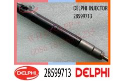 China 28599713 DELPHI Common Rail Fuel Injector 1100100XED95 1100100X-ED95 supplier