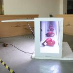 Dynamic Image Transparent LCD Screen For Corporations And Schools for sale