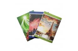 China 680mm 5 Sheets Exercise Book Machine With 10 Stitching Heads supplier