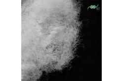 China Hollow 70D Recycled Polyester Staple Fibre Artificial 72mm Filling Material supplier