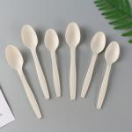 PLA Material Spoon Knife And Fork 100% Biodegradable for sale