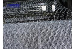 China Agricultural Hexagonal Wire Mesh Netting Vinyl Coated Galvanized Steel supplier