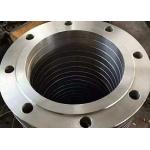 Nickle Alloy Flat Welding Flange Hastelloy C4 Catalytic Support System for sale