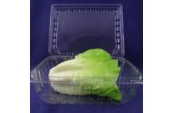 China OEM/ODM Clamshell Package Plastic Packaging Boxes Food Grade supplier