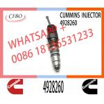 Common Rail Fuel Injector 4928260 4088725 1521978 1764365 4030346 4088660 4954434