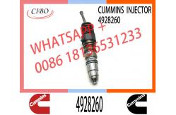 China Common Rail Fuel Injector 4928260 4088725 1521978 1764365 4030346 4088660 4954434 supplier