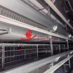 Stable Performance Layer Chicken Cage System in Morocco for sale